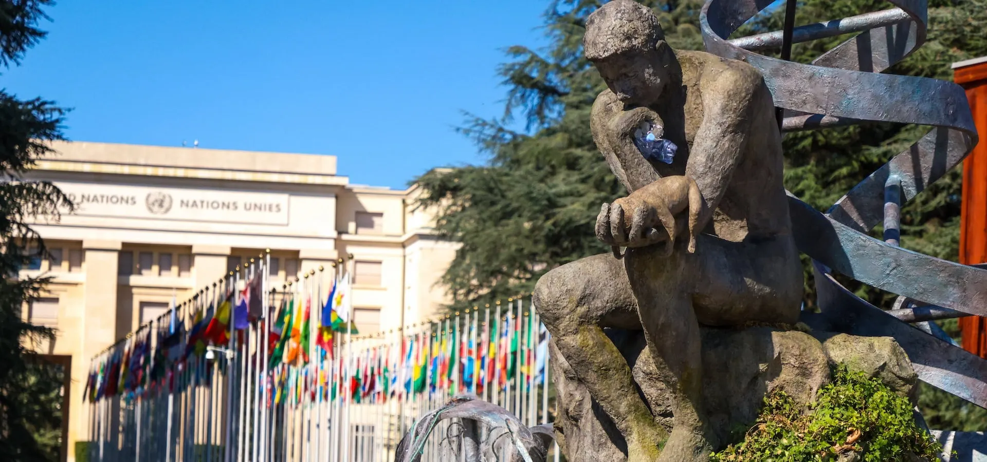 UNCCD