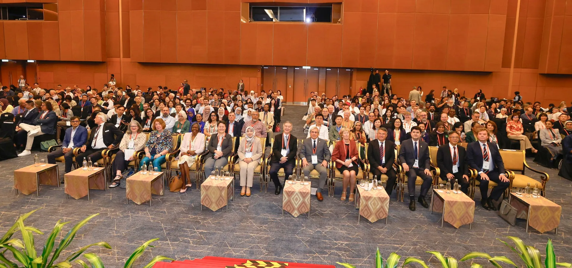 International Union of Pure and Applied Chemistry (Iupac)