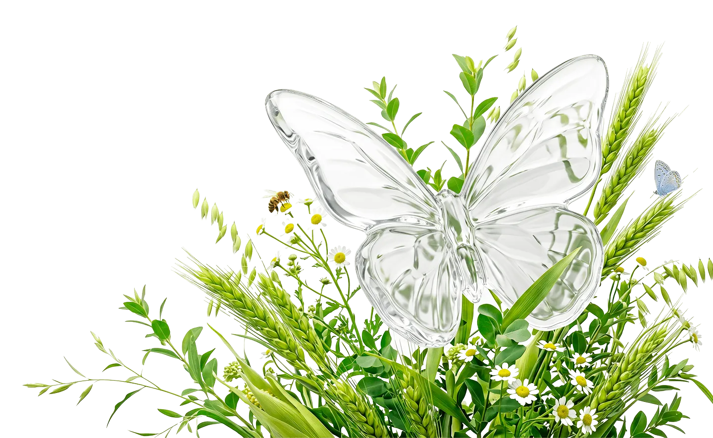 Biodiversity